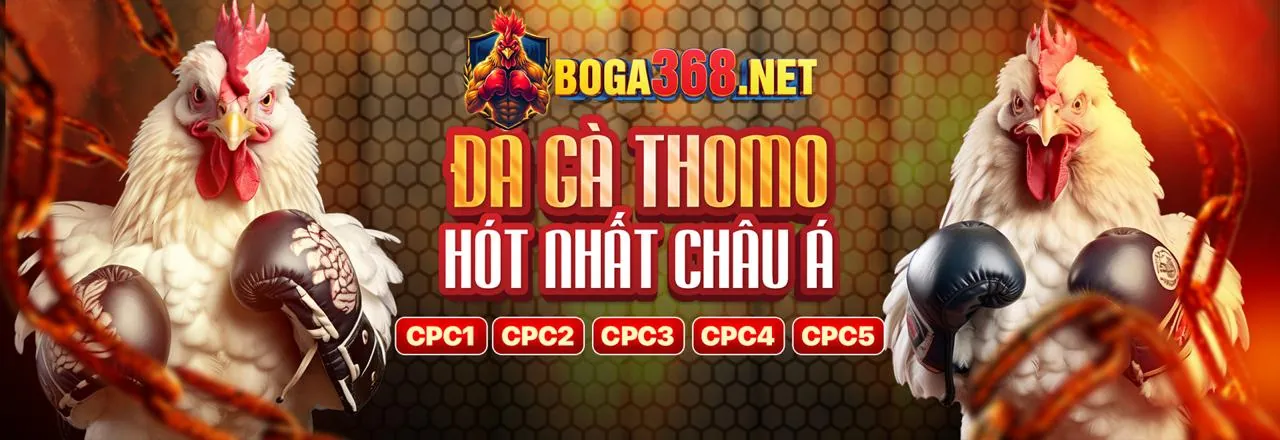 Nhà cung cấp MG